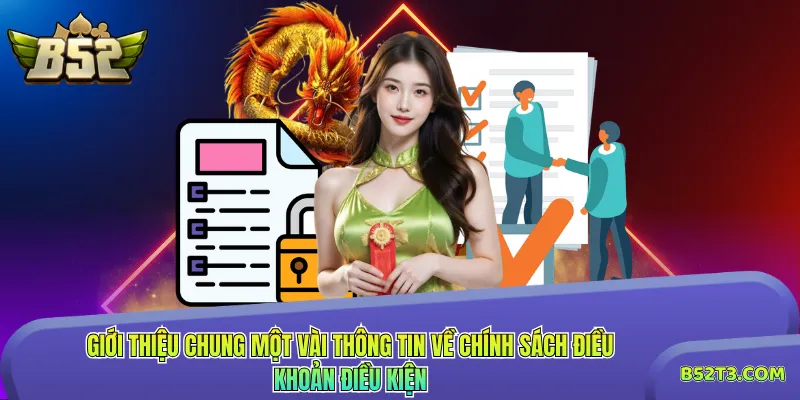 Giới thiệu chung một vài thông tin về chính sách điều khoản điều kiện